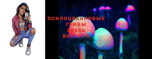 mdpv Бугульма