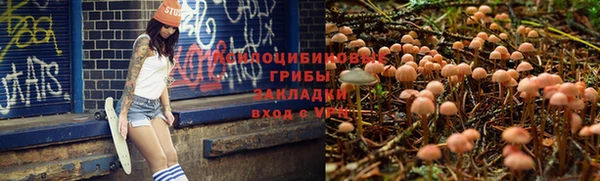 не бодяженный Бородино