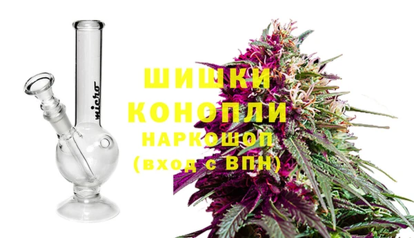 не бодяженный Бородино