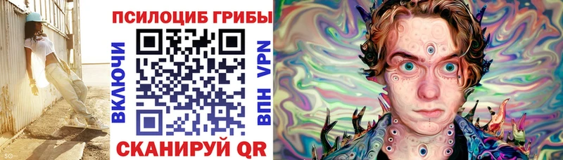 Псилоцибиновые грибы Psilocybe  блэк спрут как зайти  Кизилюрт 
